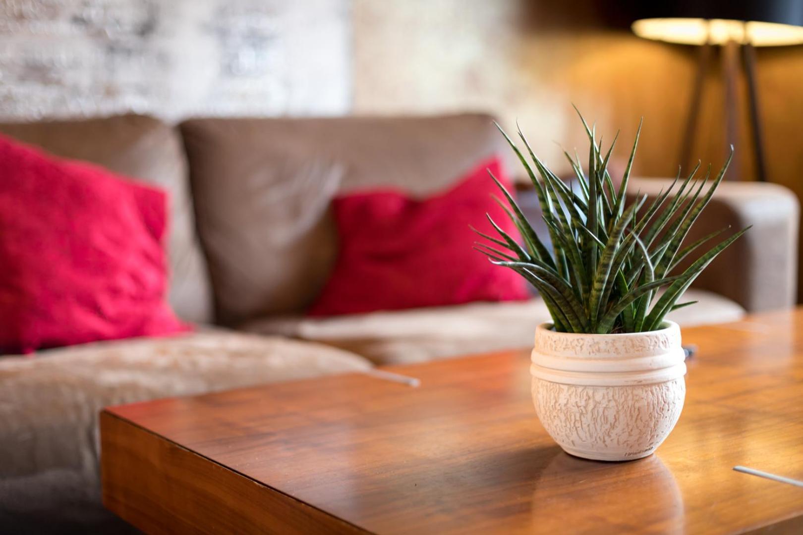 Special Retreat & Home-office & Workplace